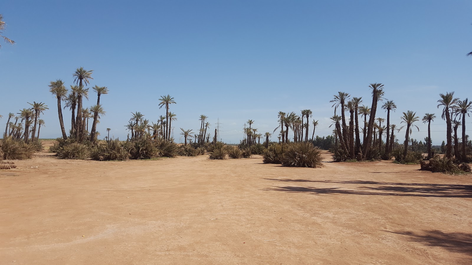 Best Quad Marrakech — photo 4