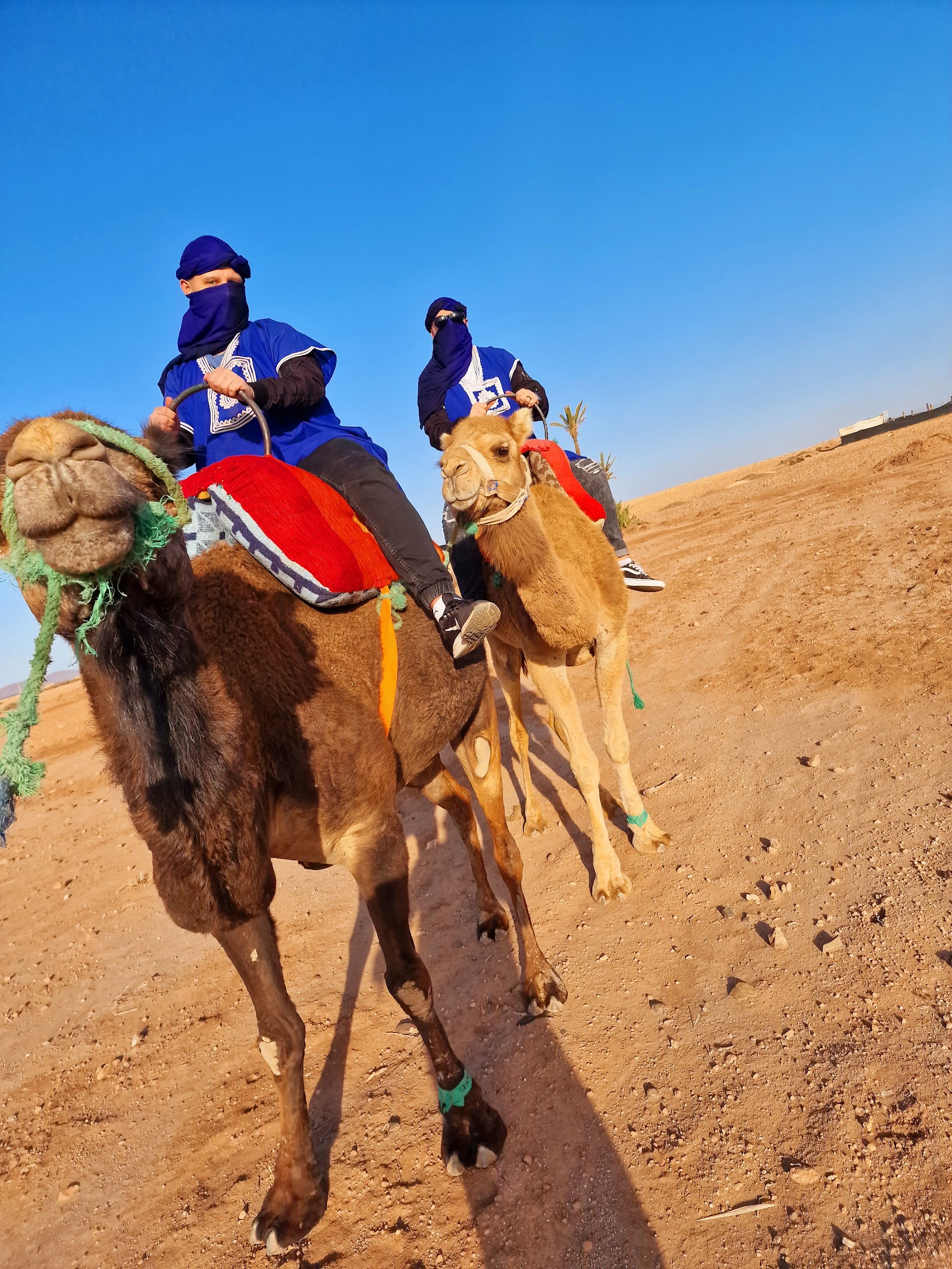 Best Quad Marrakech — photo 5