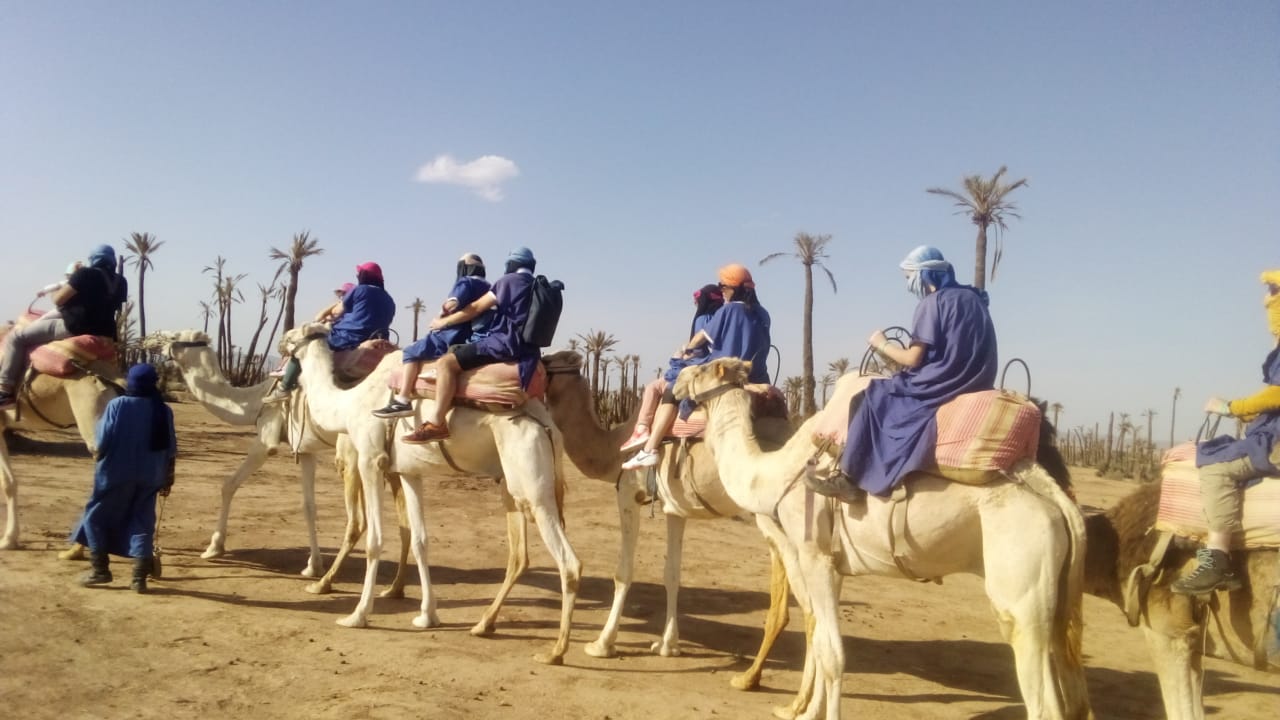 Marrakech Desert Rides — photo 3