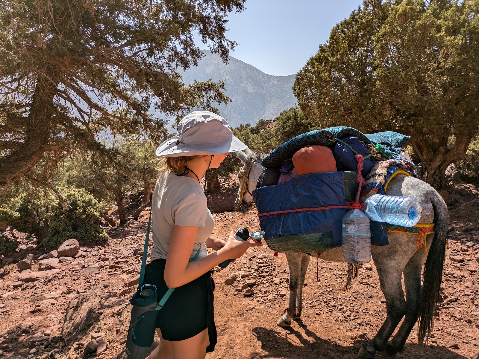 Atlas Mountain Trekking — photo 5