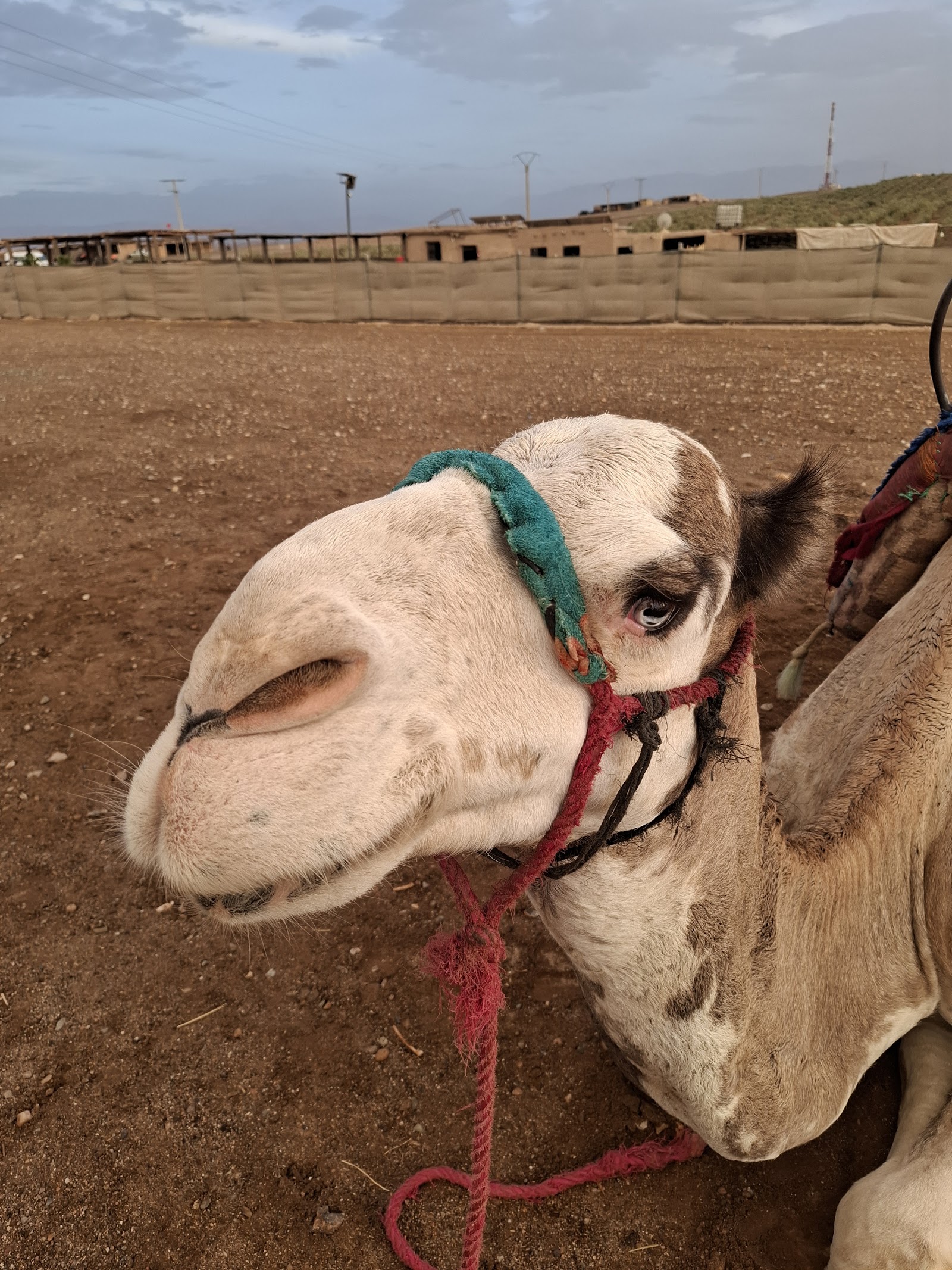 AGAFAY DESERT: Dinner ,Camel Ride ,BERBER CAMP, QUAD — photo 4