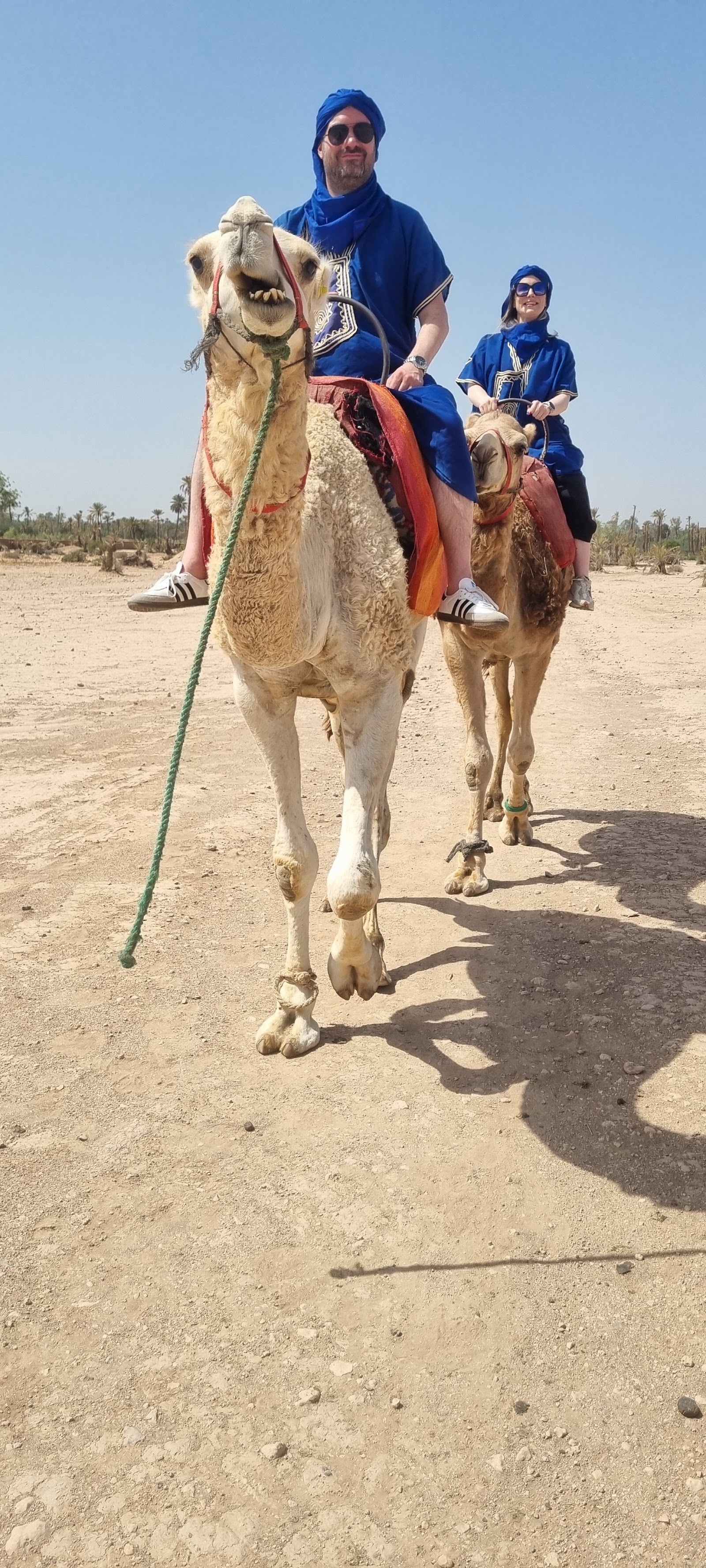 Camel Ride Marrakech — photo 2