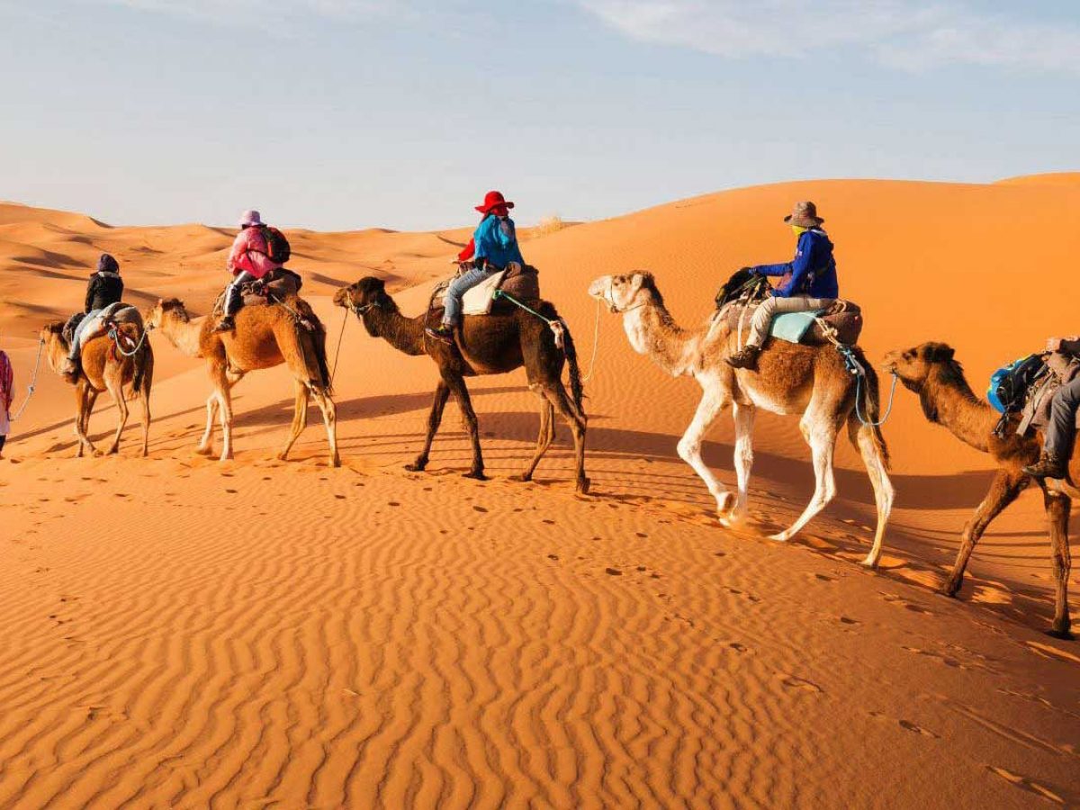 Camel Ride Marrakech — photo 3
