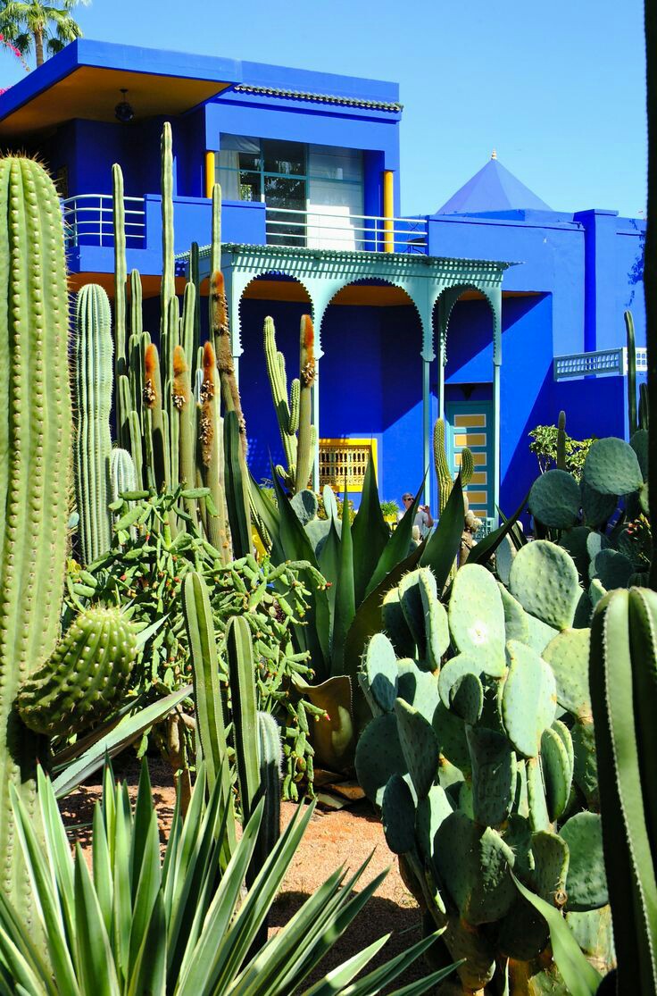 Jardin Majorelle — photo 4
