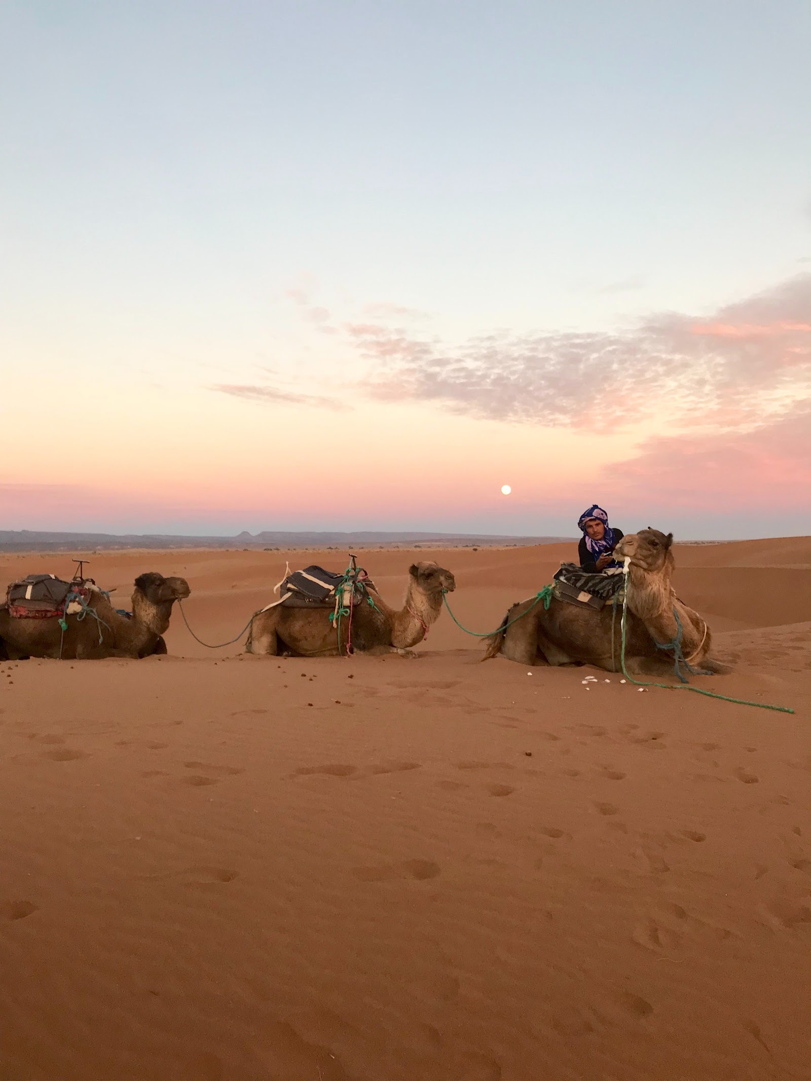 Agafay Marrakech Desert Tours — photo 5