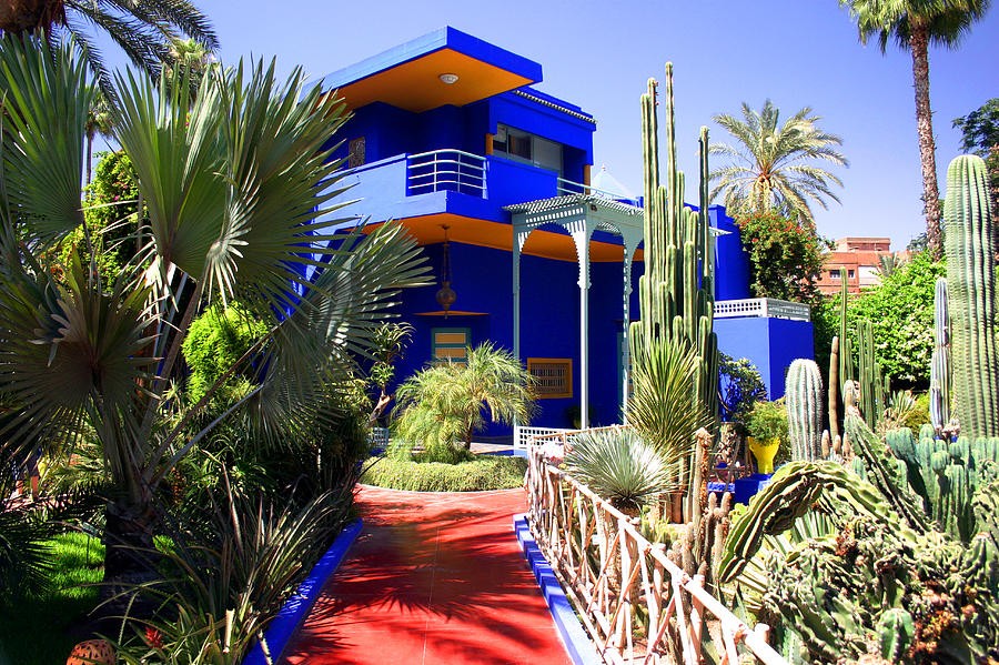 Jardin Majorelle — photo 3